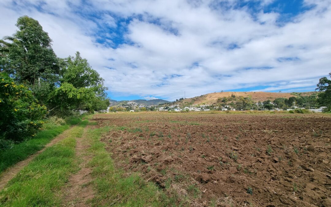 ENCA: capacitando a la nueva generación de agricultores sostenibles en Guatemala.