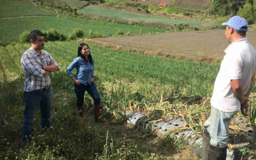 Economía sostenible en Cartago: cómo la agricultura de precisión fortalece la economía local